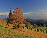 Podhale i Tatry widok z Gliczarowa