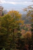 Gorce las, widok na Tatry