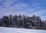 Bieszczady, Góry Słonne