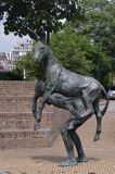 Gouda, rzeźba w mieście, mężczyzna z osłem, Holandia