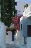 Grecja wyspa Mykonos Cyklady, uliczka, Bugenwilla Mykonos, Cyclades, Greece, Bougainvillea