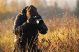 Fotograf przyrody, Bieszczady,