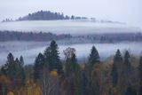 Mgły nad jesiennym lasem