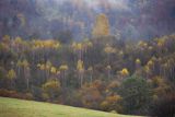 Mgły nad jesiennym lasem, Bieszczady