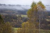 Mgły nad jesiennym lasem, Bieszczady