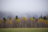 Mgły nad jesiennym lasem, Bieszczady