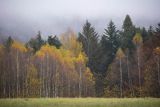 Mgły nad jesiennym lasem, Bieszczady