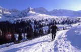 na Hali Gąsienicowej Tatry