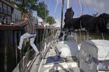 s/y Safran, Trismus 37, w porcie w Harlingen, Holandia, Waddensee