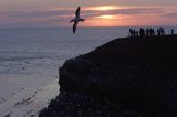 klify wyspy Helgoland, Niemcy, Morze Północne