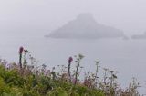 widok z wyspy Herm na Jethou, Channel Islands, Anglia, Wyspy Normandzkie, Kanał La Manche