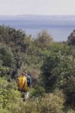 wyspa Hiddensee, Mecklenburg-Vorpommern, Bałtyk, Niemcy