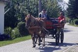 bryczka, wyspa Hiddensee, Mecklenburg-Vorpommern, Bałtyk, Niemcy