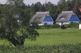 dom kryty strzechą w Kloster na wyspie Hiddensee, Mecklenburg-Vorpommern, Niemcy