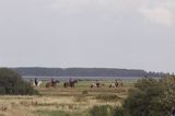 rajd konny, wyspa Hiddensee, Mecklenburg-Vorpommern, Bałtyk, Niemcy