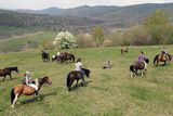 Na Krywem, Stadnina Koni Huculskich Tabun, Bieszczady