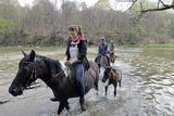 W Sanie, rajd konny, Stadnina Koni Huculskich Tabun, Bieszczady