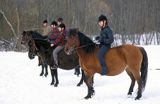 Zimowa jazda na konikach huculskich w stadninie Tabun w Polanie