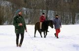 Zimowa jazda na konikach huculskich w stadninie Tabun w Polanie