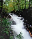 potok Hylaty wodospad największy w Bieszczadach, Park Krajobrazowy Doliny Sanu