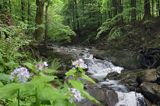 potok, wodospad Hylaty, Bieszczady