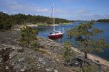 Safran, Trismus 37, Wyspa Iso Kaskinen, Archipelag Turku, Finlandia