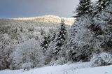 Zima, Bieszczady, Jaworniki