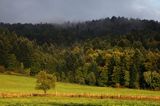 jesień pod Jawornikami, dolina żłobka, Bieszczady