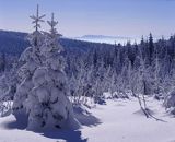 Runek Pasmo Jaworzyny Beskid Sądecki