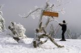 Jaworzyna Krynicka, na szczycie, Beskid Sądecki