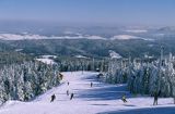 Jaworzyna Krynicka, widok ze szczytu na stok narciarski