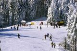 Jaworzyna Krynicka, widok ze szczytu na stok narciarski