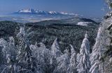 Jaworzyna Krynicka, widok ze szczytu na Tatry, niezwykła przejrzystość powietrza
