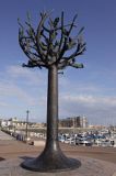 Drzewo Wolności - Freedom Tree w St. Helier, wyspa Jersey, Channel Islands, Wyspy Normandzkie