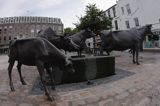 rzeźba - Jersey Cattle - krowy z Jersey w St. Helier, wyspa Jersey, Channel Islands, Wyspy Normandzkie