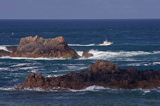 skały w La Corbiere Point, wyspa Jersey, Channel Islands, Anglia, Wyspy Normandzkie, Kanał La Manche