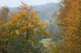 Jesień w Dolinie żłobka, Bieszczady, Góry Sanocko Turczańskie