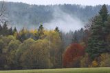 Mgły nad jesiennym lasem, Bieszczady