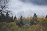 Mgły nad jesiennym lasem, Bieszczady