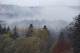 Mgły nad jesiennym lasem, Bieszczady