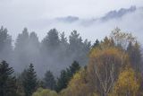 Mgły nad jesiennym lasem, Bieszczady