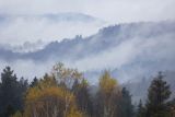 Mgły nad jesiennym lasem, Bieszczady