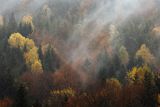 Mgły nad jesiennym lasem, Bieszczady