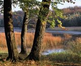 park krajobrazowy wysoczyzny elbląskiej