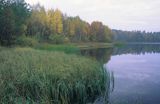 Jezioro Czarnówek, Drawski Park Krajobrazowy