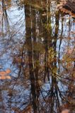 Jeziorko Duszatyńskie rezerwat Zwiezło Ciśniańsko-Wetliński Park Krajobrazowy Bieszczady