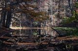 Jeziorko Duszatyńskie rezerwat Zwiezło Ciśniańsko-Wetliński Park Krajobrazowy Bieszczady