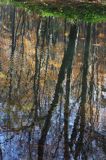 Jeziorko Duszatyńskie rezerwat Zwiezło Ciśniańsko-Wetliński Park Krajobrazowy Bieszczady