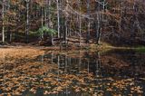 Jeziorko Duszatyńskie rezerwat Zwiezło Ciśniańsko-Wetliński Park Krajobrazowy Bieszczady