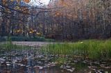 Jeziorko Duszatyńskie rezerwat Zwiezło Ciśniańsko-Wetliński Park Krajobrazowy Bieszczady